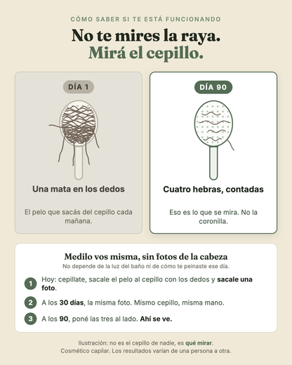 Ilustracion: el pelo que queda en el cepillo el dia 1 y el dia 90, y como medirlo