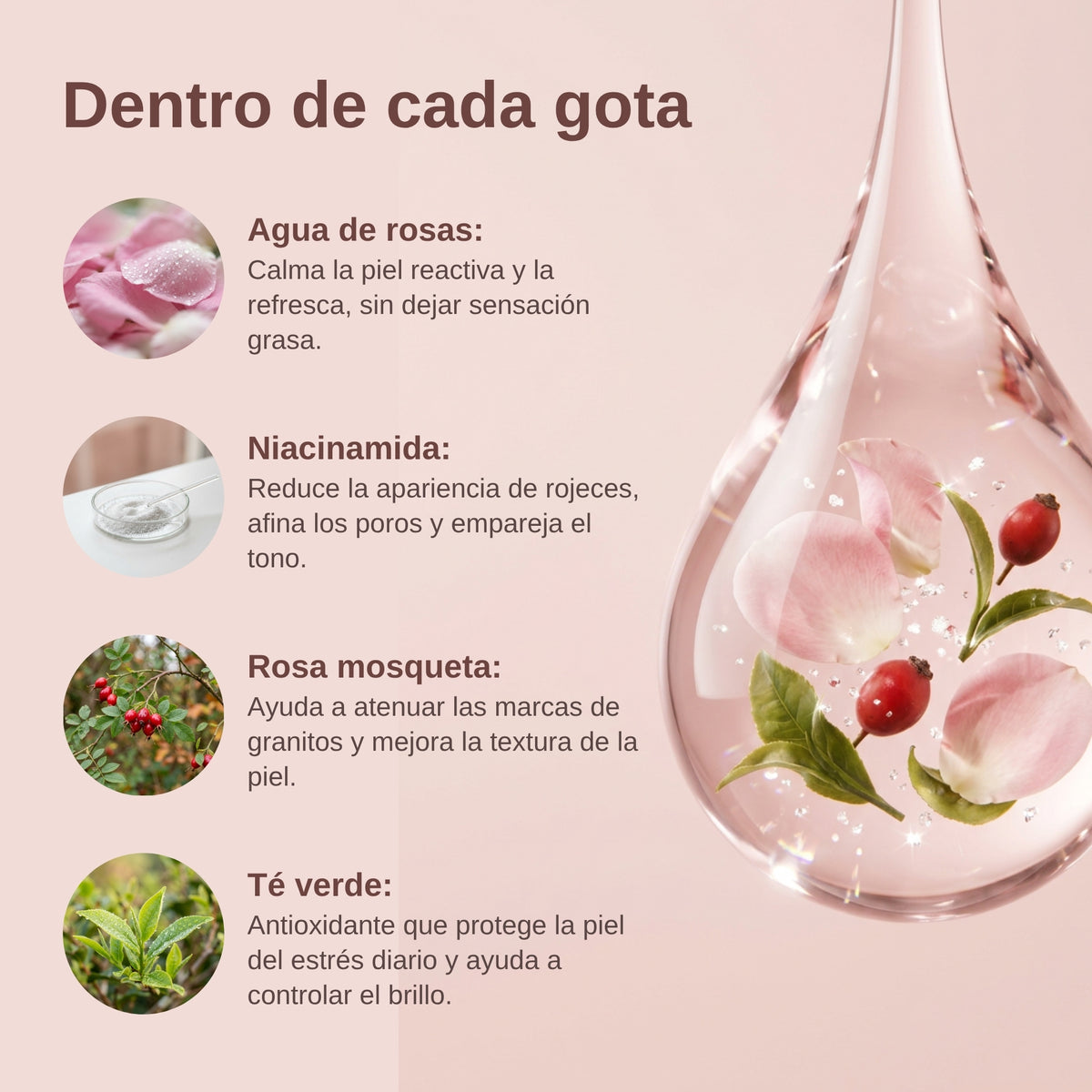 CALMA™ | Serum Facial que Empareja el tono y suaviza las marcas